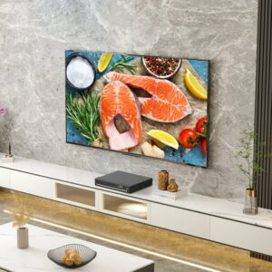 1080P DVD Player for TV and Home Theater Support Multi Format