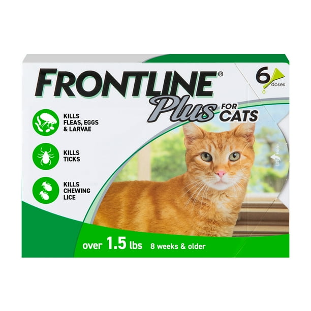 (2 pack) FRONTLINE Plus for Cats and Kittens Flea and Tick Treatment, 6 Count