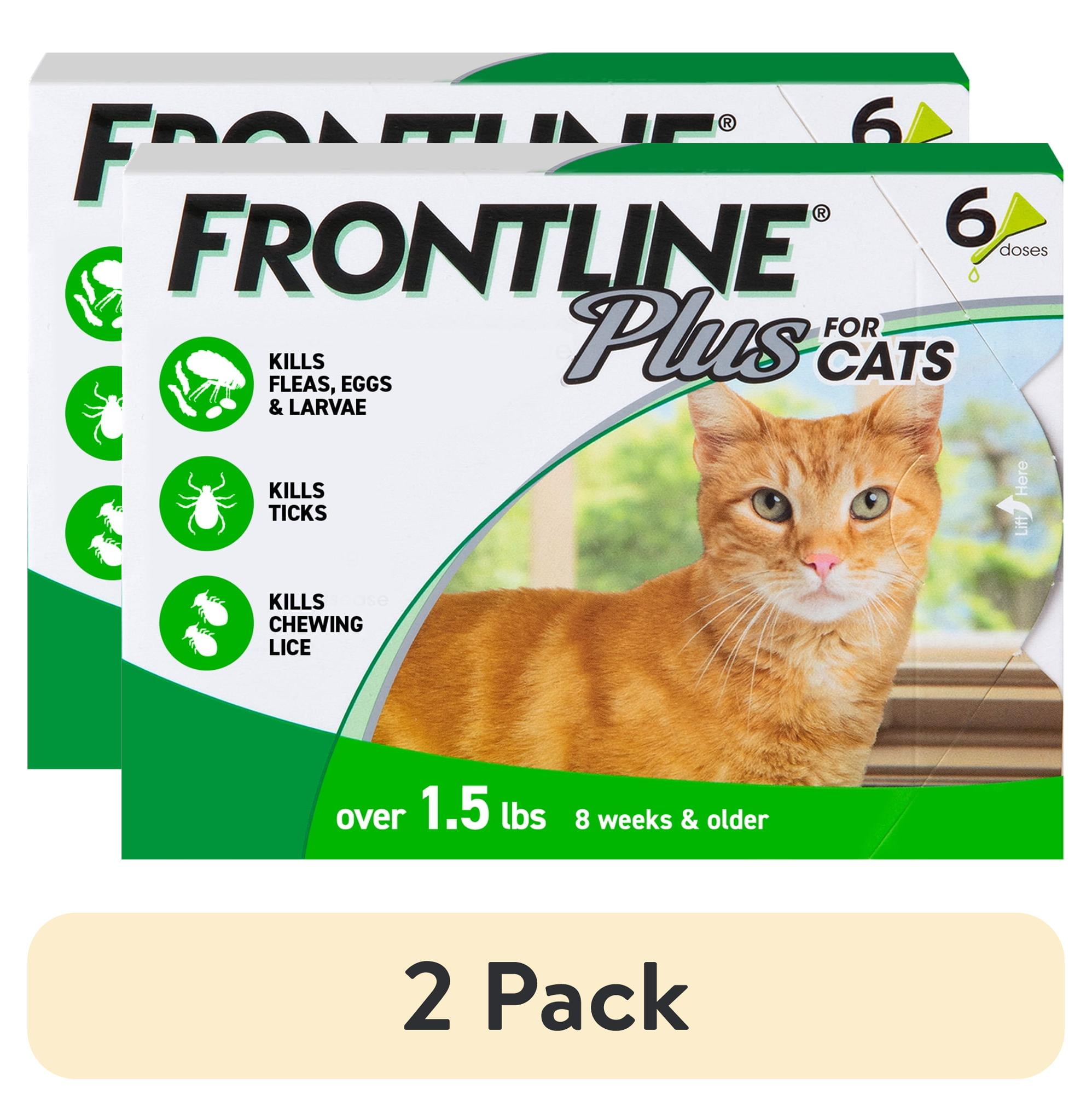 (2 pack) FRONTLINE Plus for Cats and Kittens Flea and Tick Treatment, 6 Count