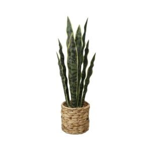 (3 pack) Home Decor Collection Flora Bunda 24.3" Artificial Snake Plant in Rattan Basket