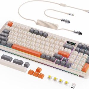 98 Keys Wireless Mechanical Keyboard, Hot-swappable Wired/Bluetooth 5.0/2.4G Wireless Keyboard with RGB Backlit for Windows & Mac, PBT Keycaps, TTC