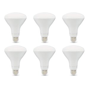 Amazon Basics 65W Equivalent, Soft White, Dimmable, 10,000 Hour Lifetime, BR30 LED Light Bulb | 6-Pack