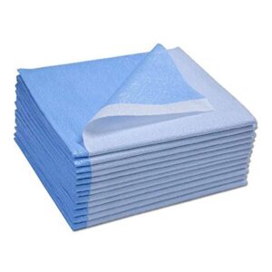 Avalon Papers Single-Use Medical Equipment Drape, Blue, 40" x 48" (Pack of 100) - Stretcher Sheet or Treatment Table Cover - Fluid and Barrier Protection - Tissue/Poly - Medical...