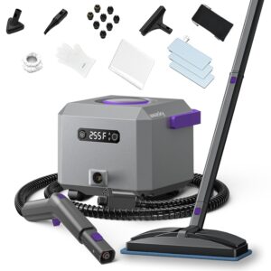 awasky Steam Cleaner: 1650W, Fast 50-Sec Heat-Up Refill Anytime-No Cooling-Detachable Hose Steamer for Home Use Car Bed Furniture Bathroom Tile Grout Floor Cleaning And More Grey