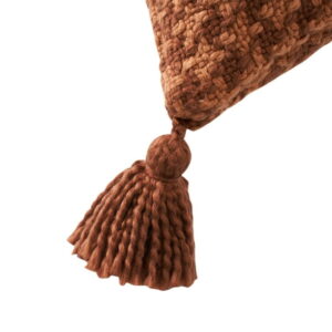 Beautiful Tonal Houndstooth Cotton Slub Decorative Pillow with Tassels by Drew Barrymore, 22" x 22", Rust