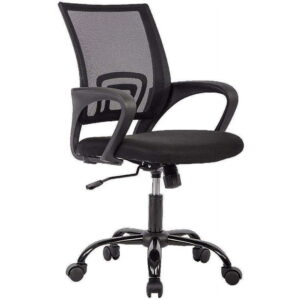 BestOffice Ergonomic Office Chair, Lumbar Support, Adjustable Height with Armrests for Adults(Black)
