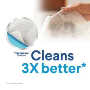 Clorox Disinfecting Wipes Value Pack Bleach Free Cleaning Wipes - 75ct/3pk (Pack of 12)