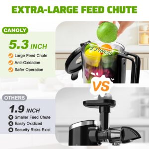 Cold Press Juicer, 5.8" Wide Feed Chute Juice Extractor Machine with 400W, High Juice Yield, Slow Masticating Juicer for Whole Vegetables & Fruits