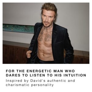 David Beckham - Instinct Eau de Parfum for Him 75ml, fougère citrus fragrance