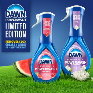 Dawn Powerwash Spray, Dish Soap, Dishwashing Liquid, Summer Watermelon, 1 Starter Kit, 16 Fl Oz
