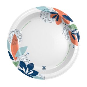 Dixie Large Paper Plates, 10 Inch, 204 Count, 2X Stronger*, Microwave-Safe, Soak-Proof, Cut Resistant, Disposable Plates For Everyday Breakfast, Lunch, & Dinner Meals