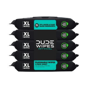 DUDE Wipes Flushable Wipes, XL Wet Wipes for at Home Use, Mint Chill, 48 Count, 5 Pack