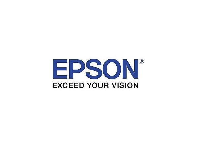 Epson DURABrite T069120 Ink Cartridge - Black