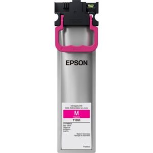Epson DURABrite Ultra T10S Original Standard Yield Inkjet Ink Cartridge - Magenta T10S300