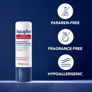 EUCERIN AQUAPHOR Lip Repair Stick DUO PACK for Dry, Chapped and Cracked Lips, 2x4.8g