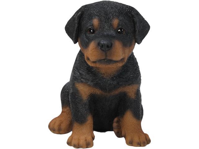 Hi-Line Gift Rottweiler Puppy
