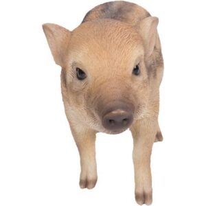 Hi-Line Gift Wild Baby Boar Standing