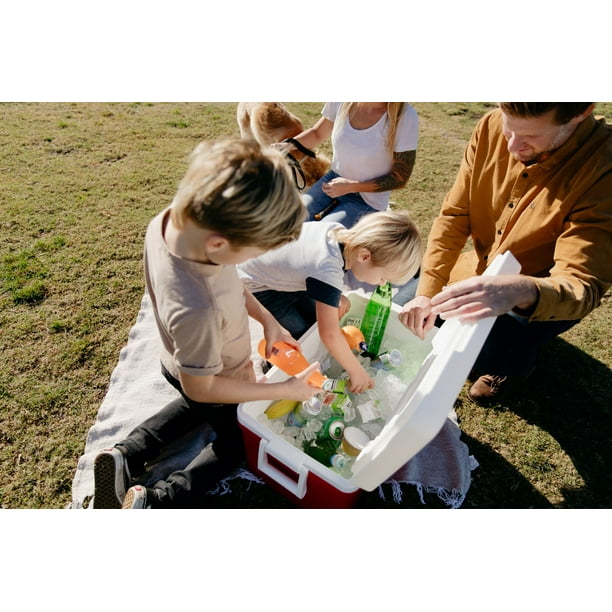 Igloo 48 QT Laguna Ice Chest Cooler, Red