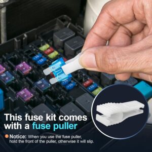 JOREST 300Pcs Car Fuses Assortment Kit,160 Mini Blade Fuses Automotive + 90 Standard Auto Fuses + 50 Micro Fuse + Fuse Puller – for Car/RV/Truck/Motorcycle(2Amp 3A 5A 7.5A 10A...