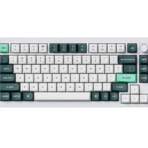 Keychron Q1 HE Wireless RGB Mechanical Keyboard, Hot-swappable, Hall Effect Gateron 2.0 magnetic switches, Shell White (Q1H-P1)