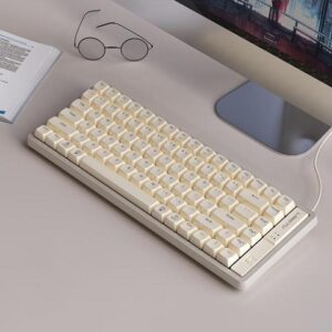 Langtu GK85 Type-C Wired Gaming Keyboard,Gold Switches Mechanical Keyboard, ABS Keycaps,Full Anti-Ghosting (85Keys, Grey)