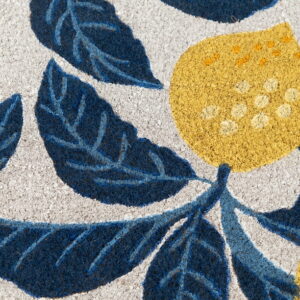 Mainstays by Becky G. & Alejandra Coir Outdoor Mat, Lemon & Blue, 18" x 30"