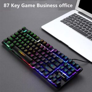 Mechanic Game Keyboard RGB LED Rainbow Backlit Cable Keyboard with Red Switch for Windows Game Computer (87 keys, Black)