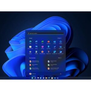 Microsoft Windows 11 Pro (USB)