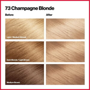 NEW Revlon Colorsilk Beautiful Permanent Hair Color, No Mess Formula, 073 Champagne Blonde, 1 Pack