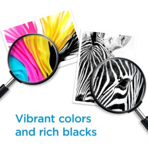 Original HP 63 Black Ink Cartridge | Works with HP DeskJet 1112, 2130, 3630 Series; HP ENVY 4510, 4520 Series; HP OfficeJet 3830, 4650, 5200 Series | Eligible for Instant Ink |...