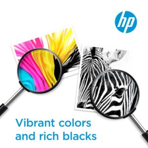 Original HP 67 Black Ink Cartridge | Works with HP DeskJet 1255, 2700, 4100 Series, HP Envy 6000, 6400 Series | Eligible for Instant Ink | 3YM56AN