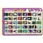 PLP-CAT-1 - PLACEMAT POPULAR CATS