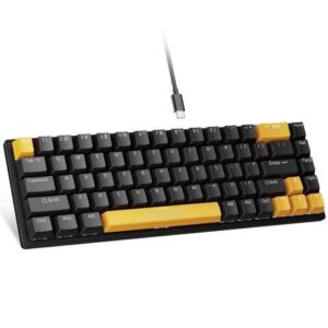 Portable 60% Mechanical Gaming Keyboard, Colorful LED Backlight Compact 68 Keys Mini Wired Office Keyboard with Blue Switch for Windows Laptop PC
