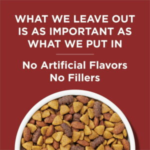 Purina Dog Chow Complete Adult Dry Dog Food for Adult Dogs, Kibble Beef Flavor, 44 lb Bag