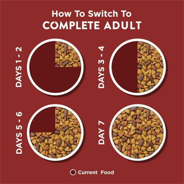 Purina Dog Chow Complete Adult Dry Dog Food for Adult Dogs, Kibble Beef Flavor, 44 lb Bag