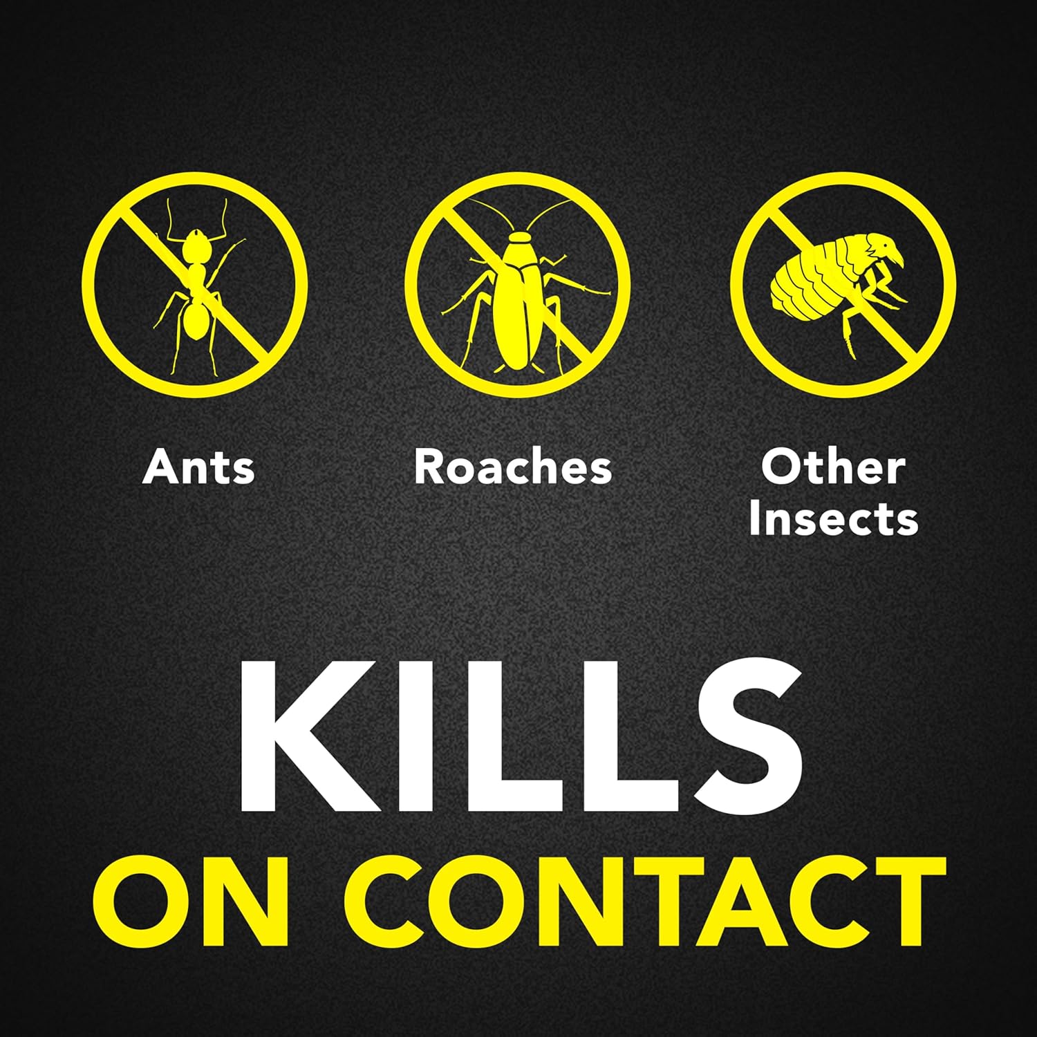 Raid Ant & Roach Killer 26, Fragrance Free Bug Killer for Home Use, Kills Bugs on Contact, 17.5 Oz, 2 Count