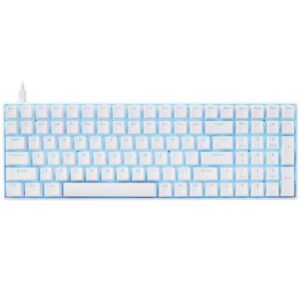 Rapoo V500 DIY Wired Mechanical Gaming Keyboard White Switches, Anti-Ghosting and Blue LED Office Keyboard for Windows PC Gamers (100Keys, White)