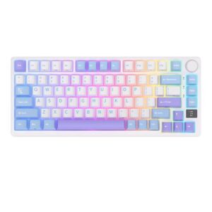 RK ROYAL KLUDGE M75 Mechanical Keyboard 2.4GHz/Bluetooth/USB-C Wired Gaming Keyboard 75% Layout 81 Keys Gasket Mounted with OLED Smart Display & Knob,