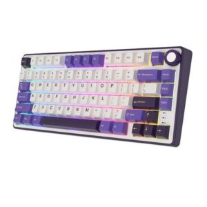 RK ROYAL KLUDGE R75 Mechanical Keyboard Wired with Volumn Knob 75% TKL Custom Gaming Keyboard Gasket Mount RGB Backlit with Software MDA Profile Hot
