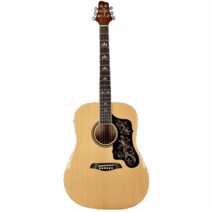 Sawtooth Dreadnought Folk Acoustic Guitar with D'Addario Strings, Chromecast Stand, Picks, Capo, Strap, Case, Music Lessons and Spanish Pickguard