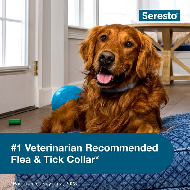 Seresto Vet-Recommended 8-Month Flea & Tick Prevention Collar for Large Dogs 18+ lbs