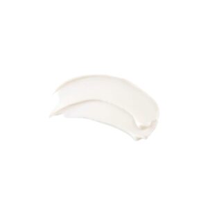 TIZO Photoceutical AM Replenish Non Tinted SPF 40 1.75 oz