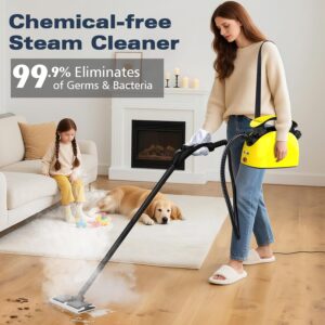 Waitbird Steam Cleaner, Multipurpose Powerful Steamer with 21 Accessories, Portable Handheld Steam Mop with 38OZ Tank, Natural Cleaning for Home Use, Floor, Grout, Tile, Couch,...