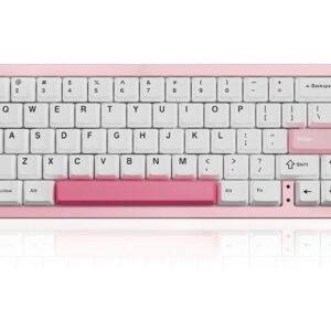 Wireless Mechanical Keyboard,65% Knob Control Aluminum Gaming Keyboard BT/2.4G/Wired Hot Swappable Pre-lubed Switches, Gasket Mounted RGB Keyboard for