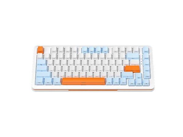 WSIRAK Custom S82 Wired Swappable 3pin Switch keyboard Mechanical 75% Gasket LED Backlit Gaming Mechanical Keyboard 82 Keys WSIRAK Custom S82 Wired Swappable 3pin Switch keyboard Mechanical 75% Gasket LED Backlit Gaming Mechanical Keyboard 82 Keys