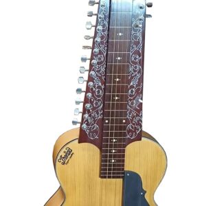 NEW 2018 CHATURANGUI MOHAN VEENA INDIAN RESONATING SLIDE GUITAR WITH SIDE CHIKARI + GIGBAG + SPARE STRING SET