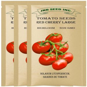 Red Cherry Large Tomato Seeds for Planting – 3 Packs (50+ Seeds Each) | Non-GMO Heirloom Tomatoes | Hydroponic, Indoor & Outdoor Growing
