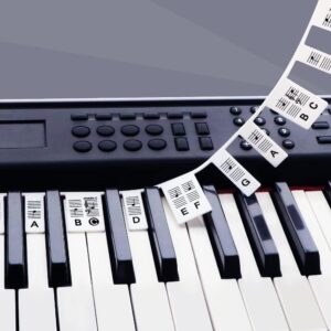 Removable Piano Keyboard Note Labels for 61 Key Full Size Silicone Reusable No Need Stickers Notes Label for Beginners and Kids Comes with Box (Black-61Keys)