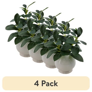 (4 pack) Mainstays 11” Indoor Artificial Peperomia Plant in White Color Ceramic Pot