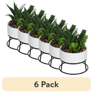 (6 pack) Mainstays 6.5" Artificial Agave and Sedum Succulents in Ceramic Planter, Multicolor